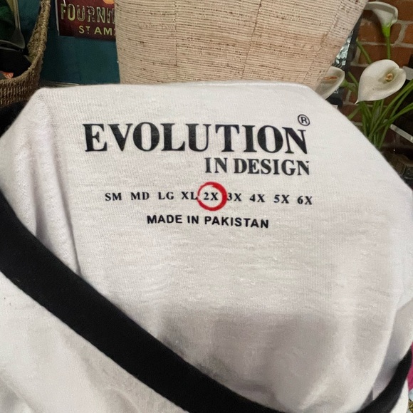 Evolution In Design drip - Picture 7 of 7